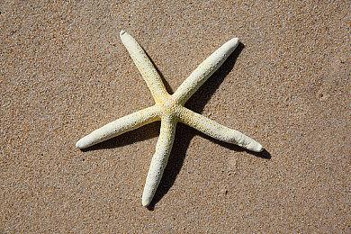 《阿玛拉王国重制版》扩展包命运誓言12＆14推出